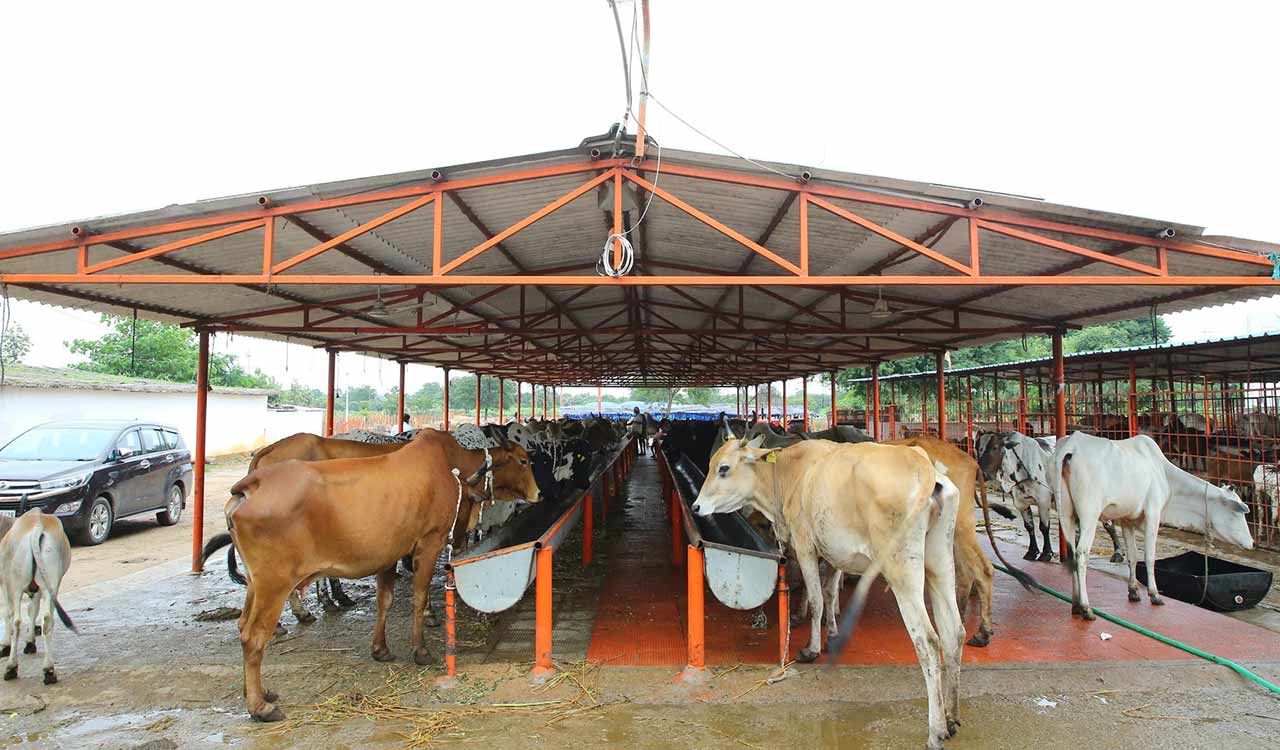 Goshala community care